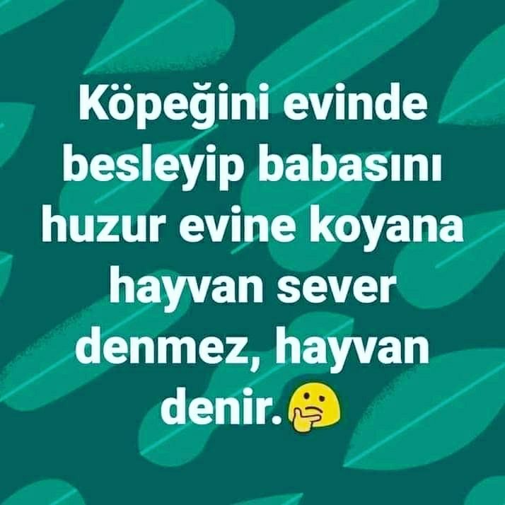 Melek