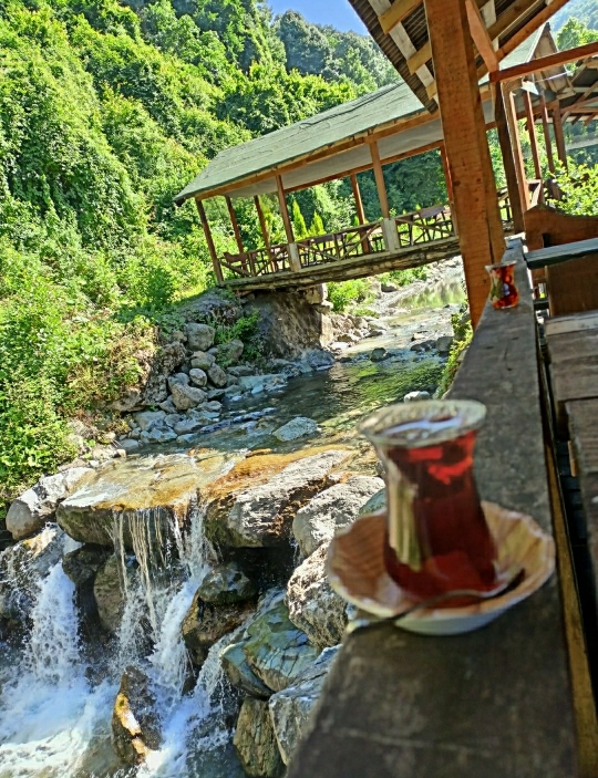 Ziya