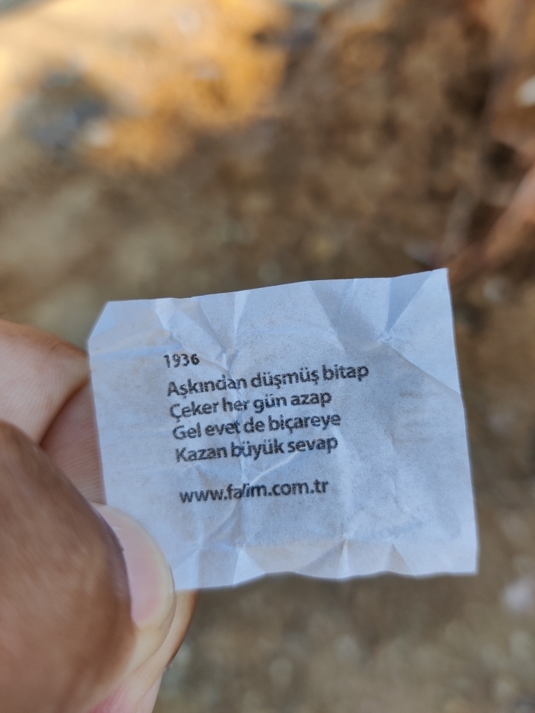 Sinan