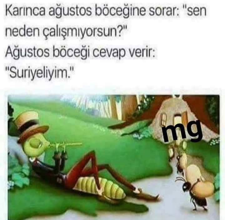 Melek