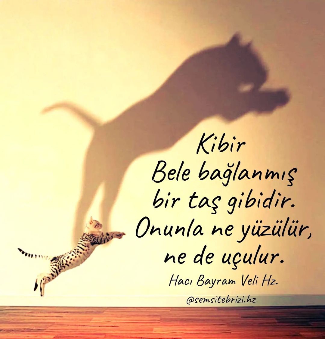 Feyyaz