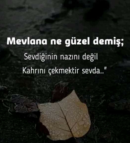 Damla