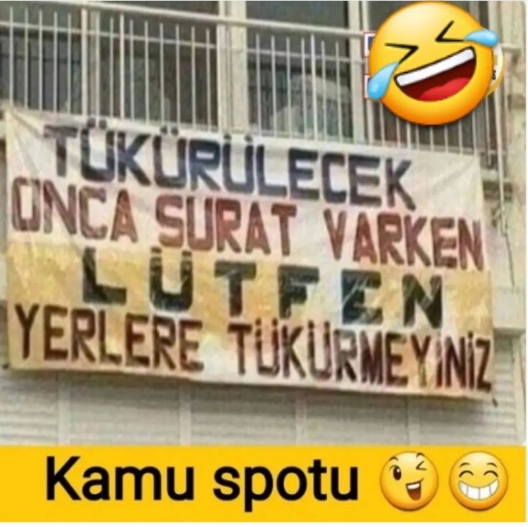 Aynur