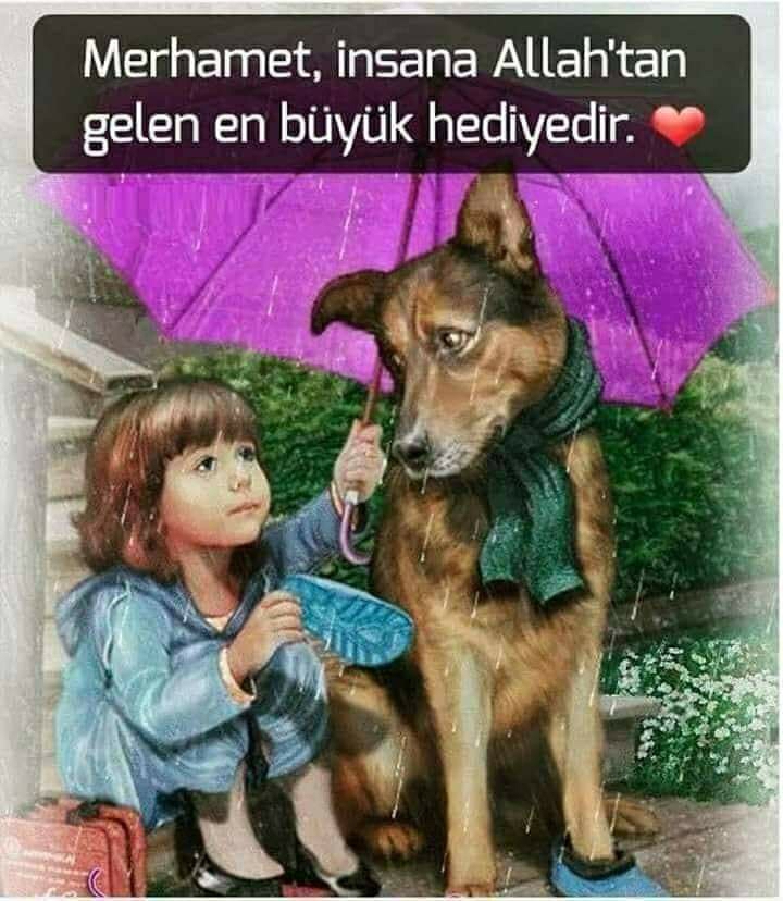 Kadriye