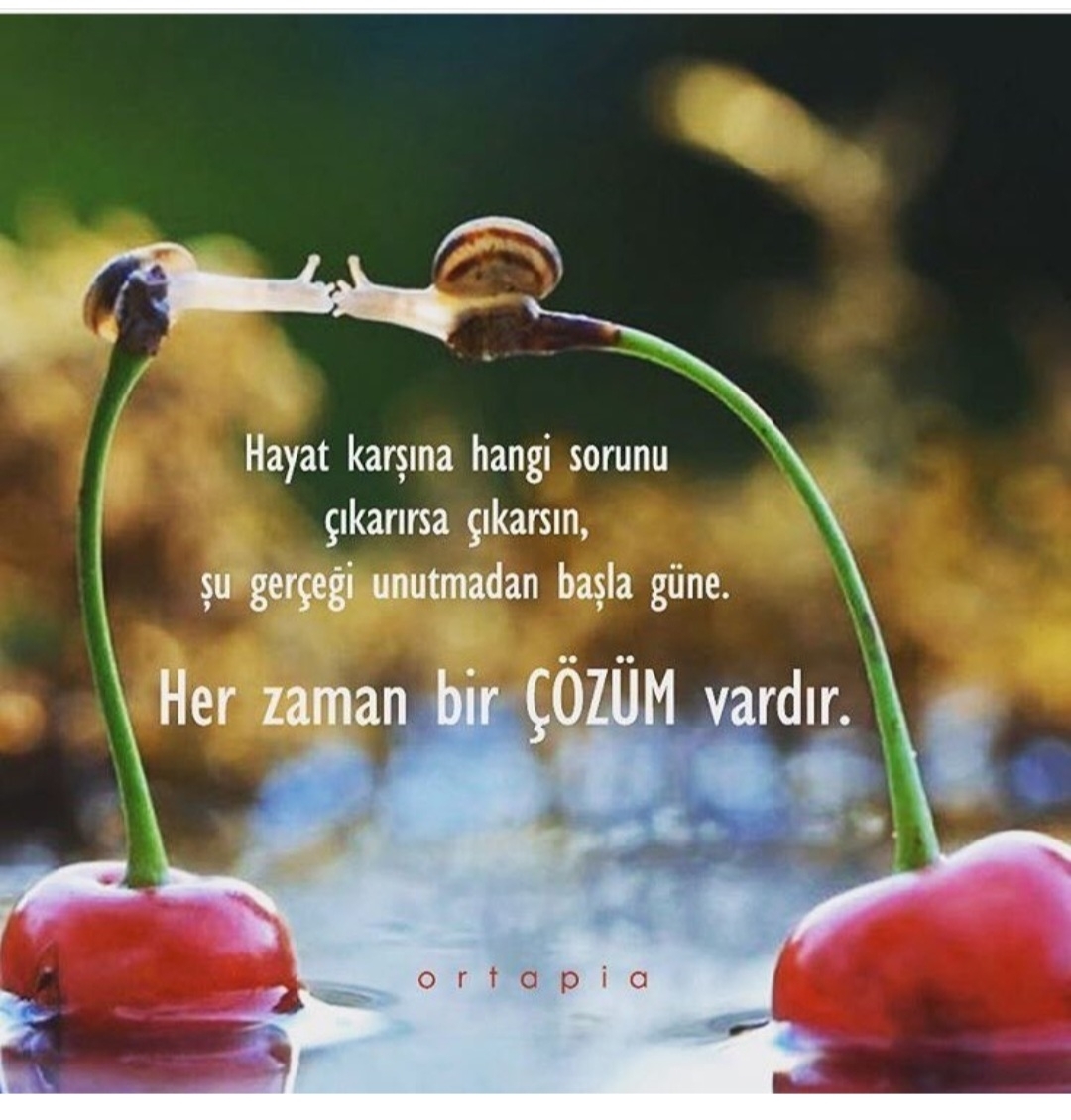 T C Yıldız