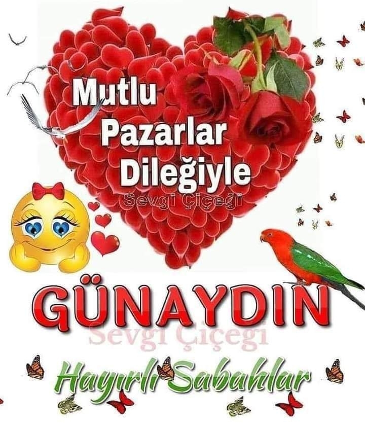 Halit