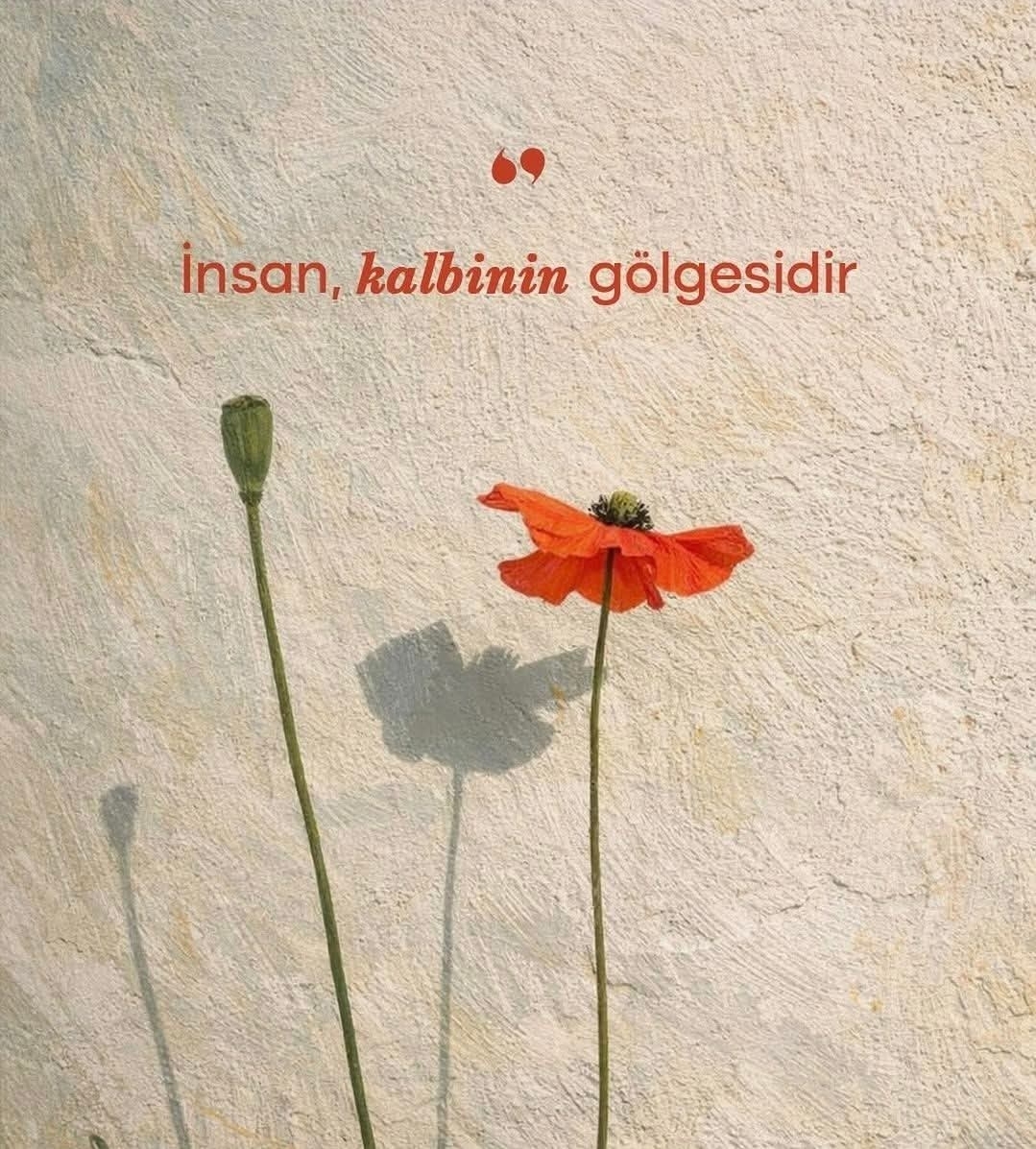 Sinan