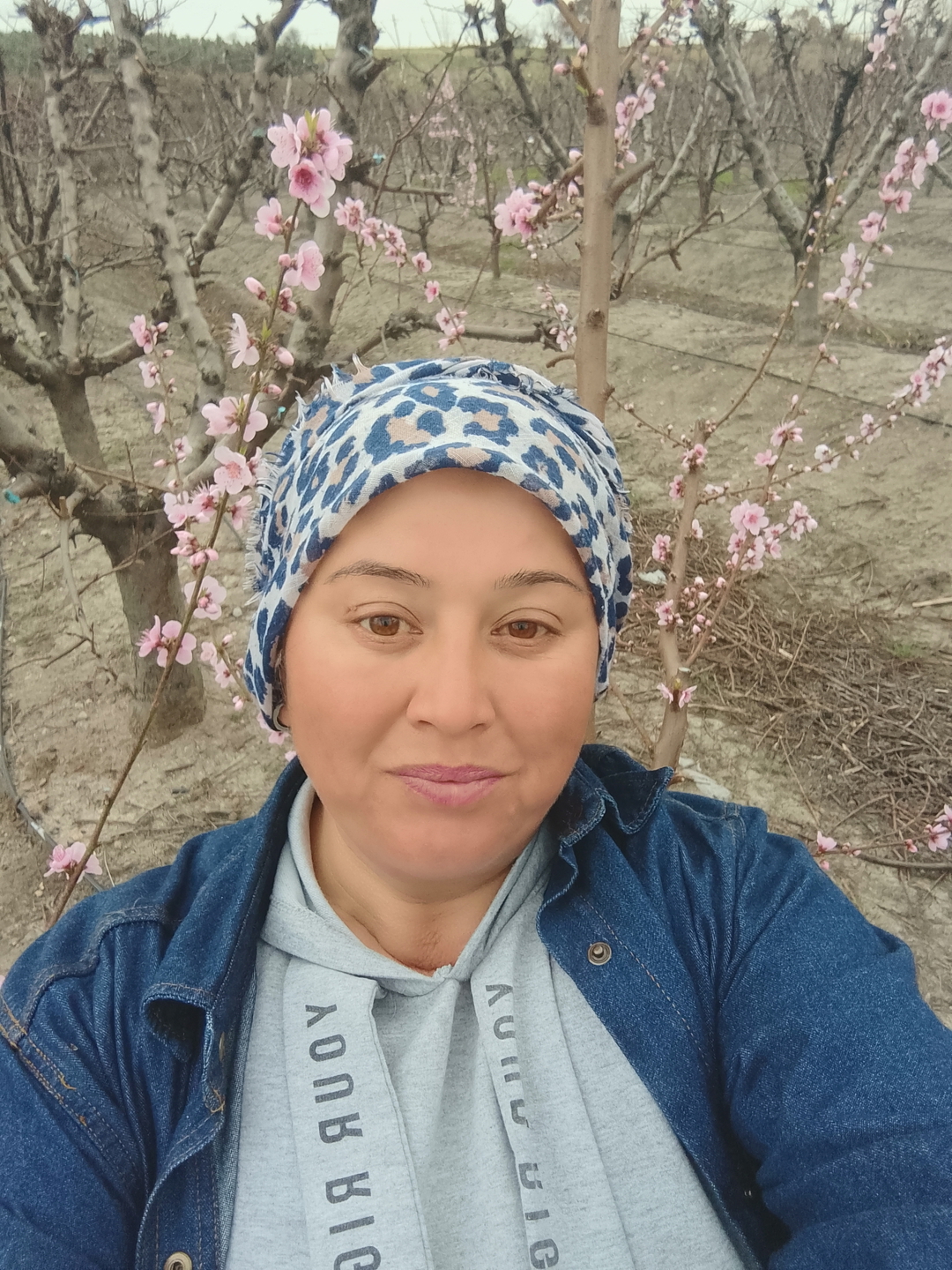 Ayse