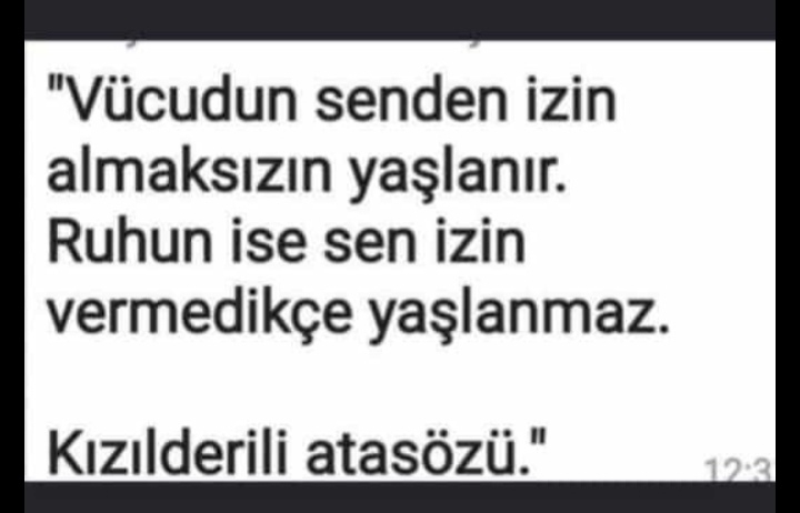 Yavuz