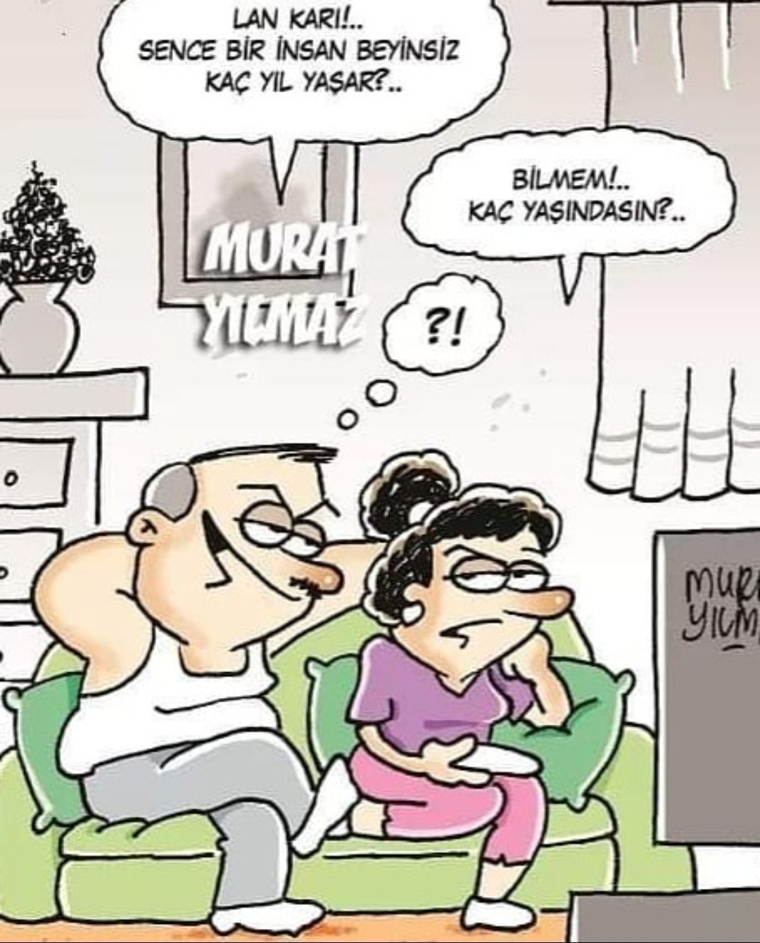 Şahin