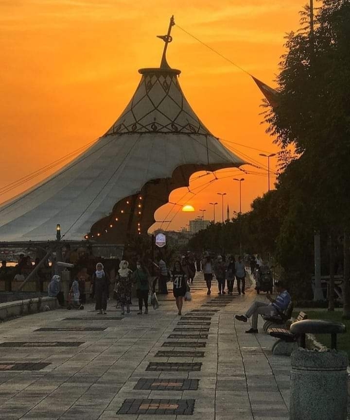 Duygu