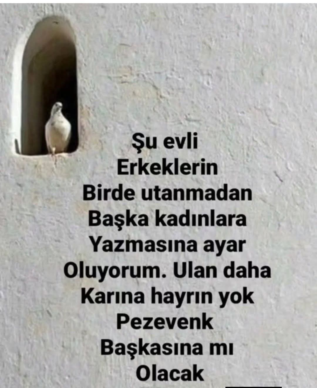 Melek