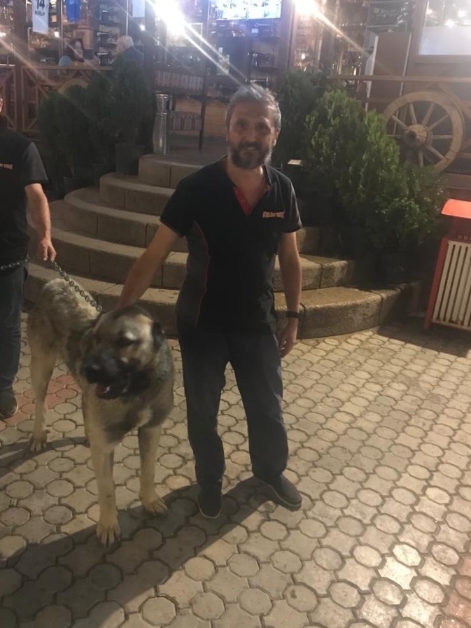 Uğur