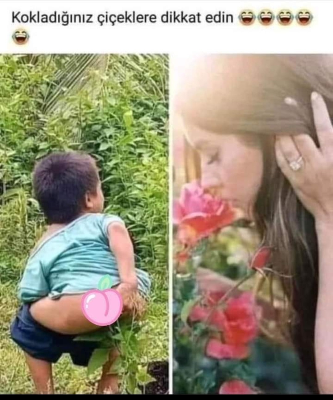 Zehra