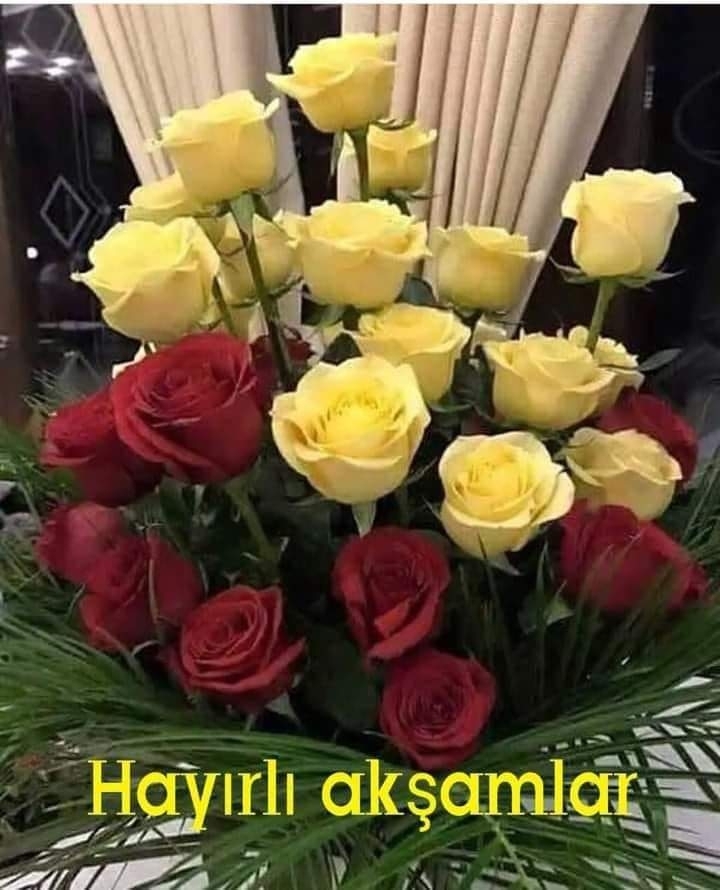 kursat