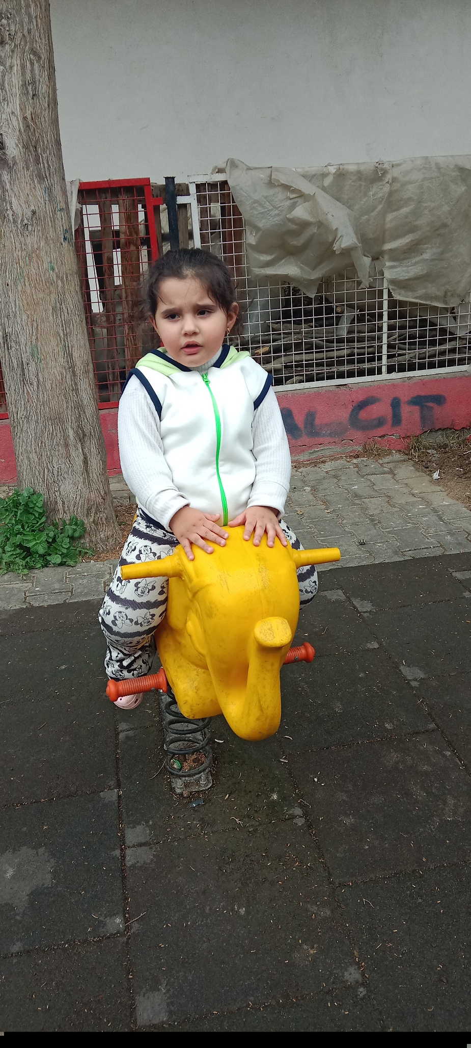 gamze