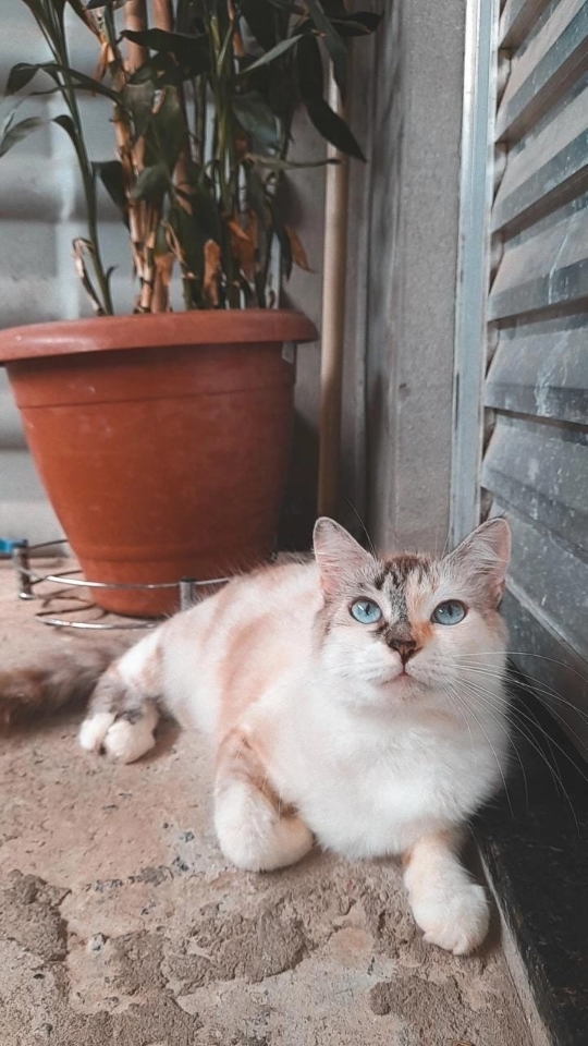Mary