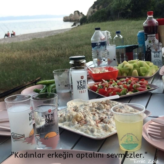 Ulvi