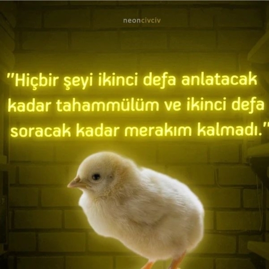 Elif