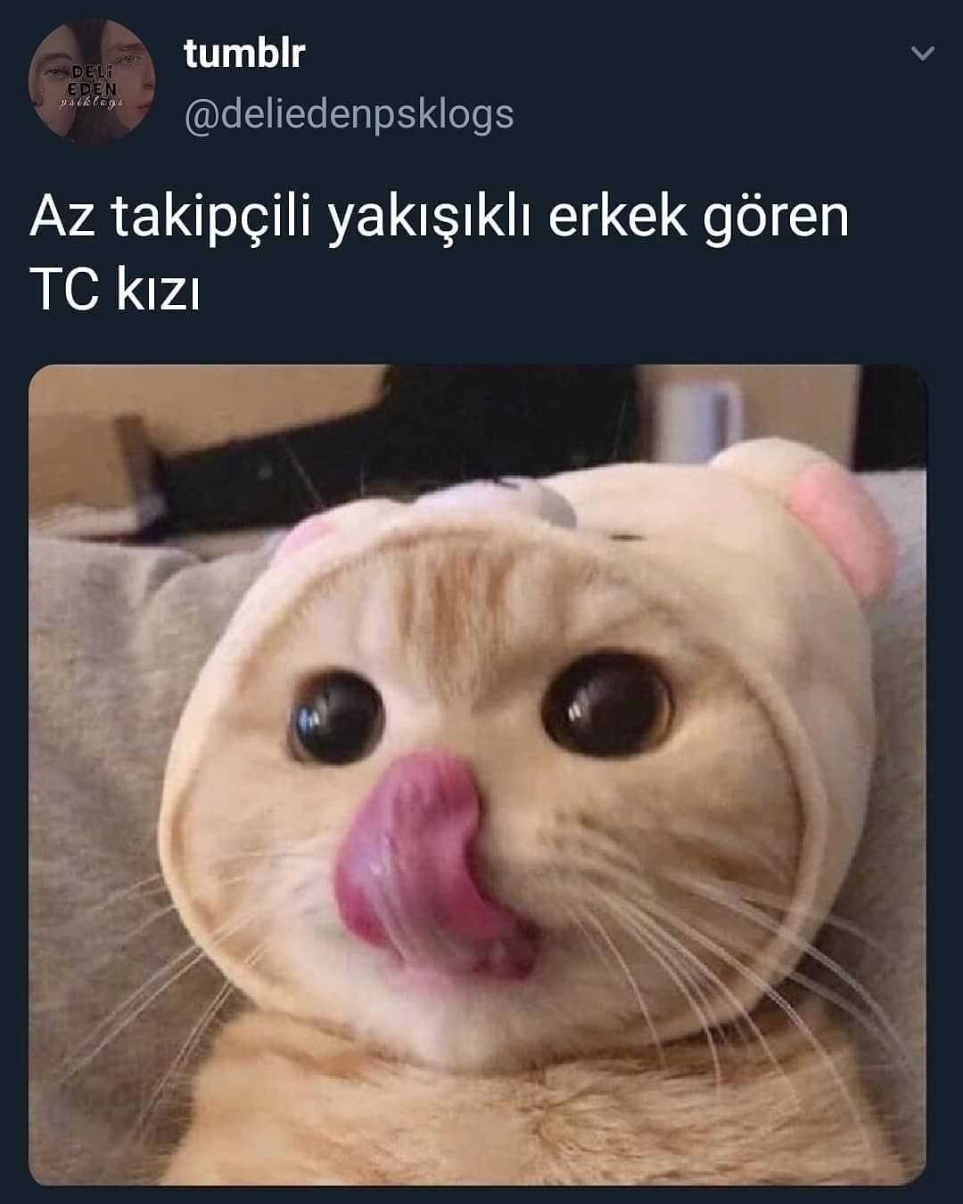 Serdar
