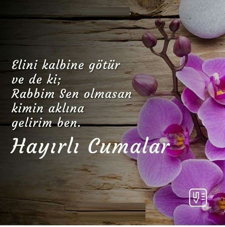 Derya