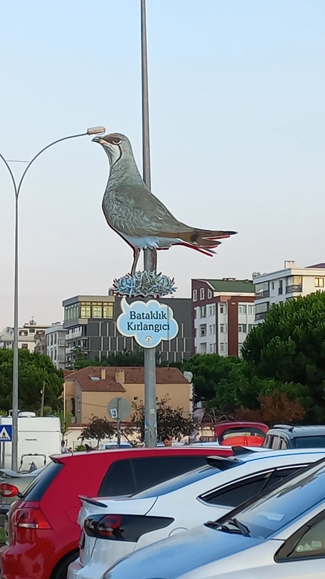 Ayşe