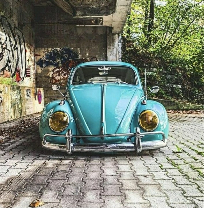 Arkın