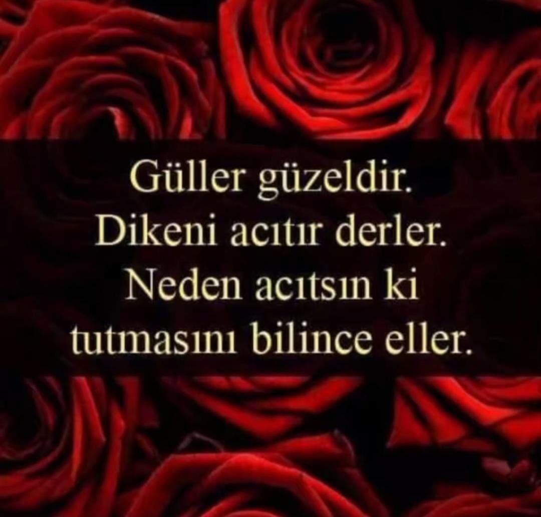 Melek