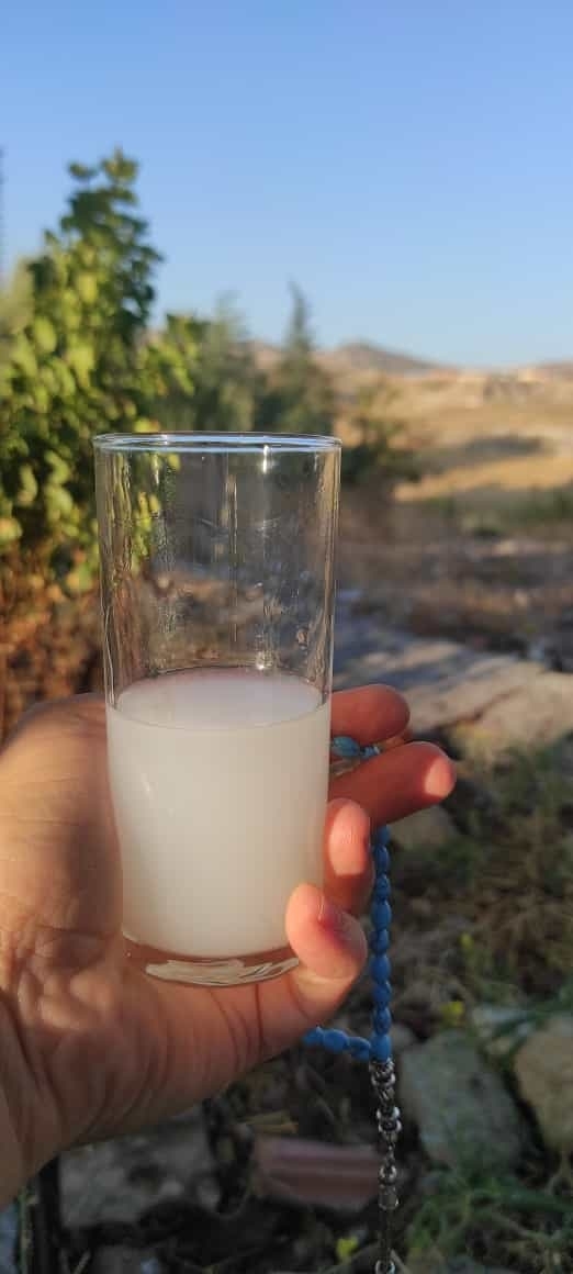 Mustafa