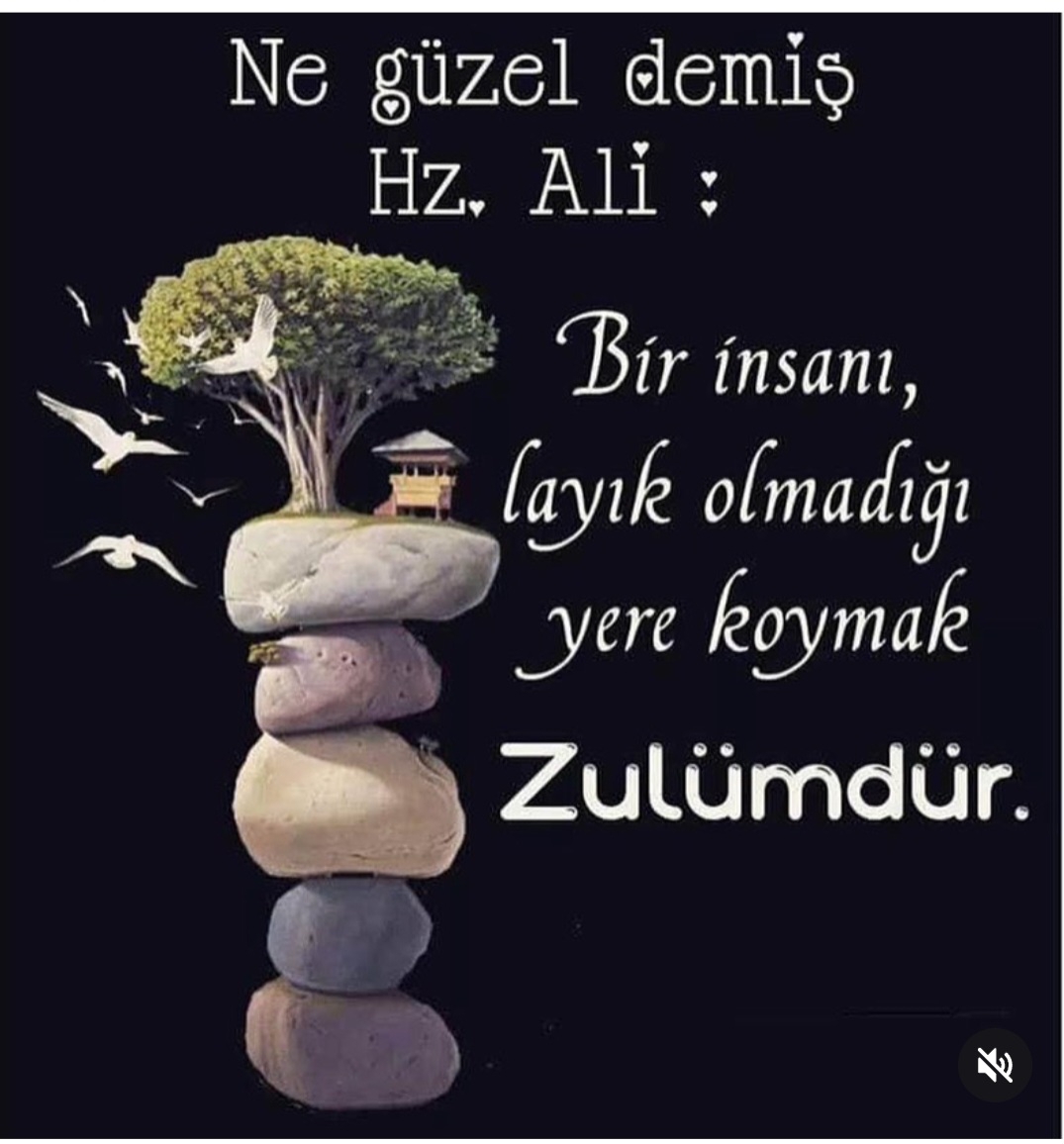 T C Yıldız