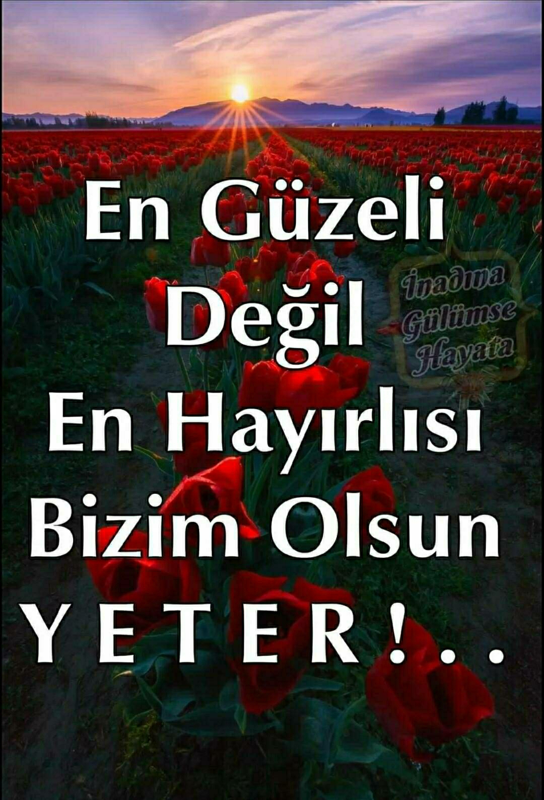 Melek