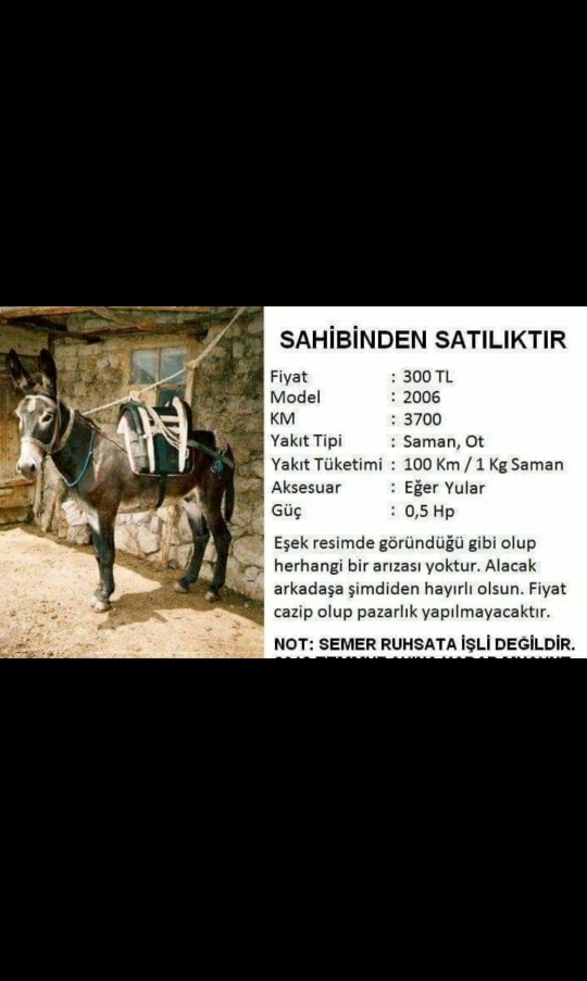 Cüneyt