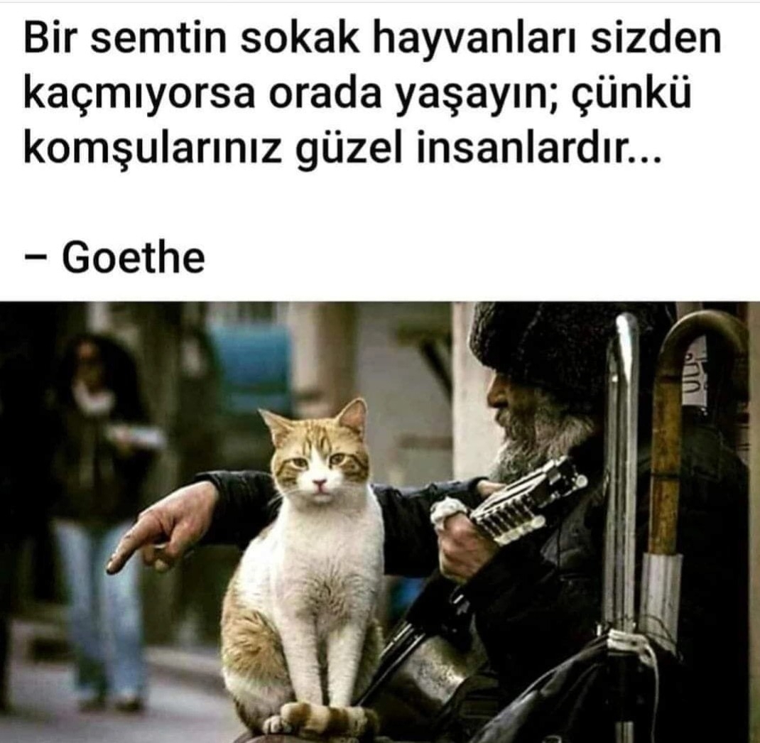 Bedriye