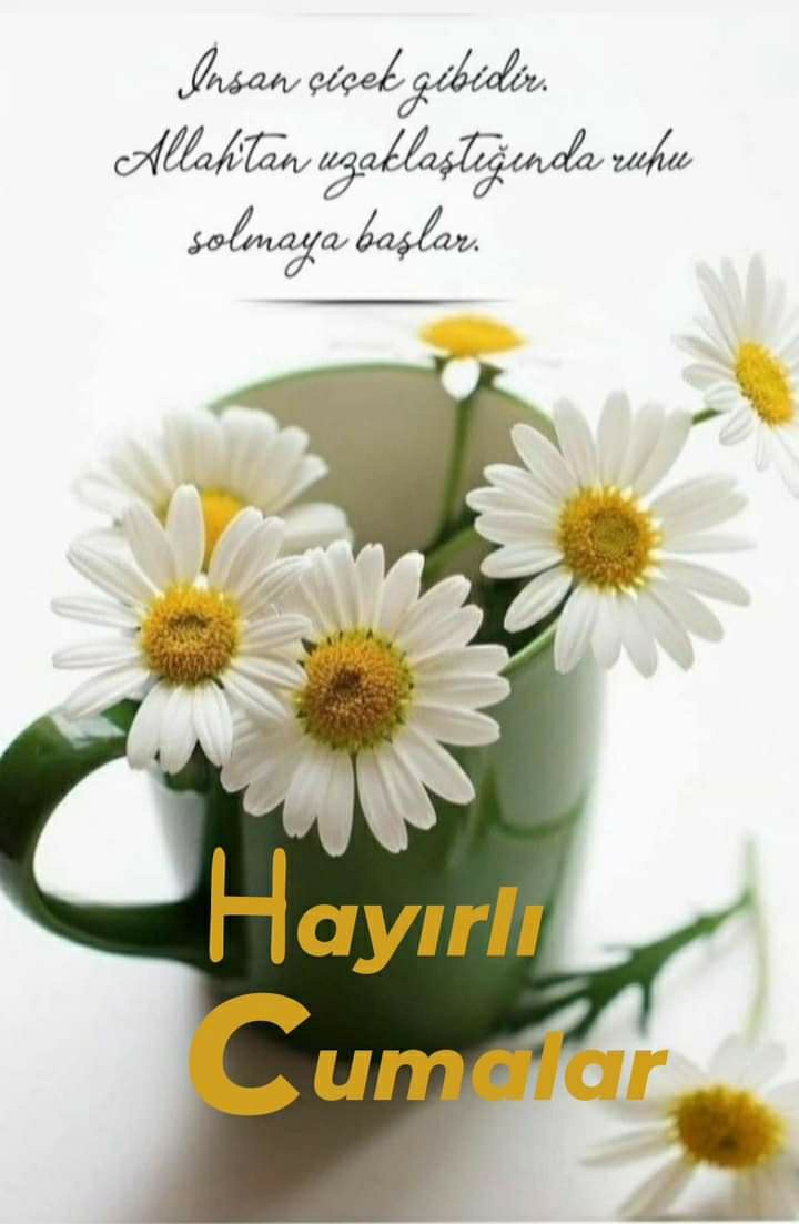 Damla