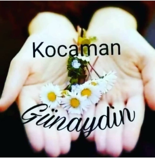 Aynur