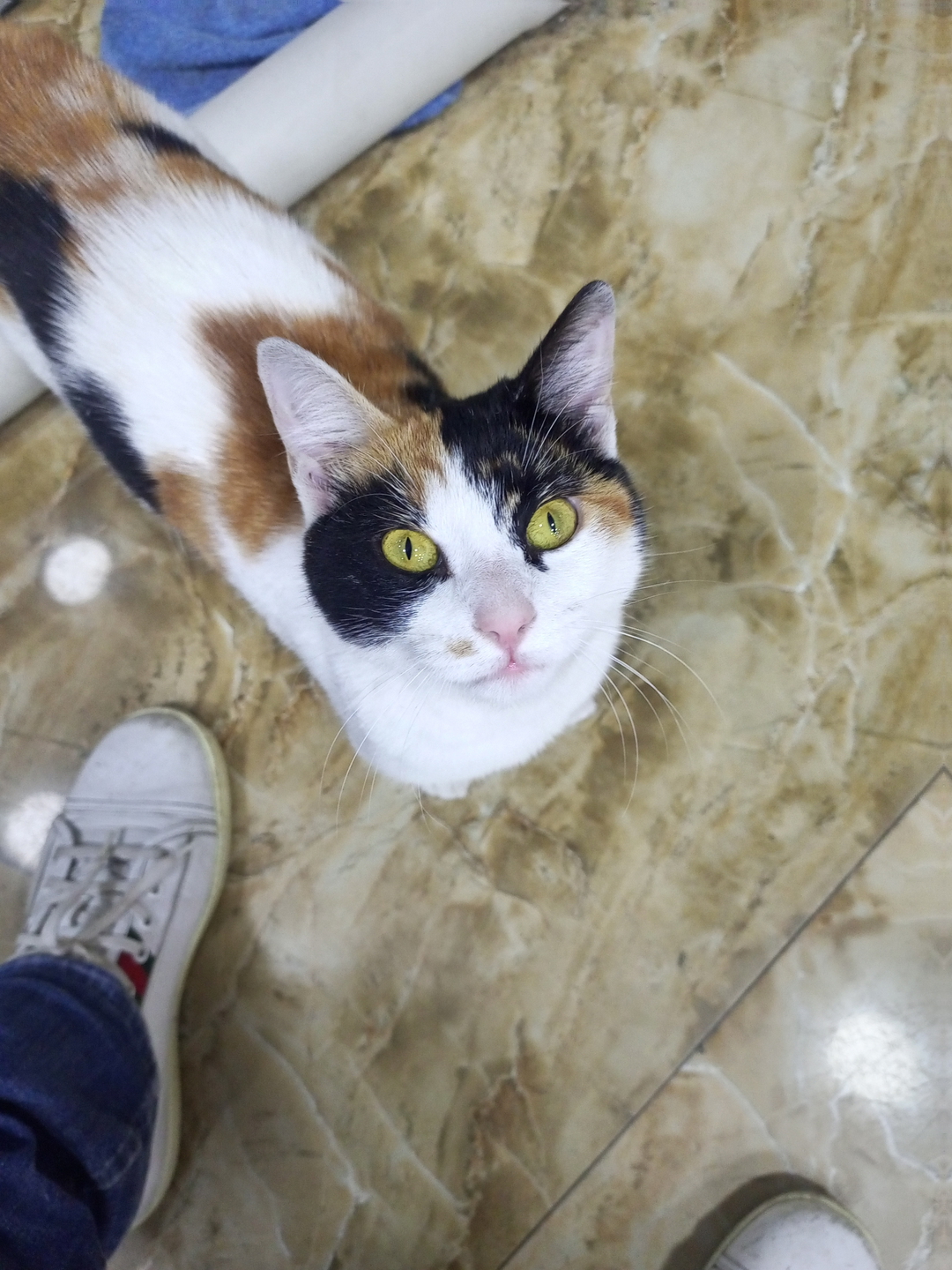 Eyüp