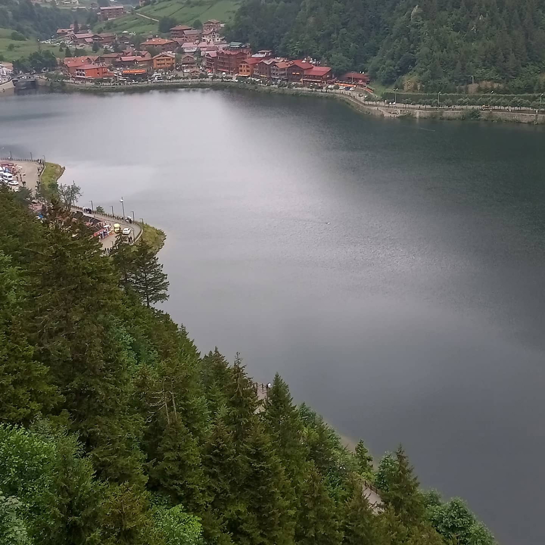 Ayşegül