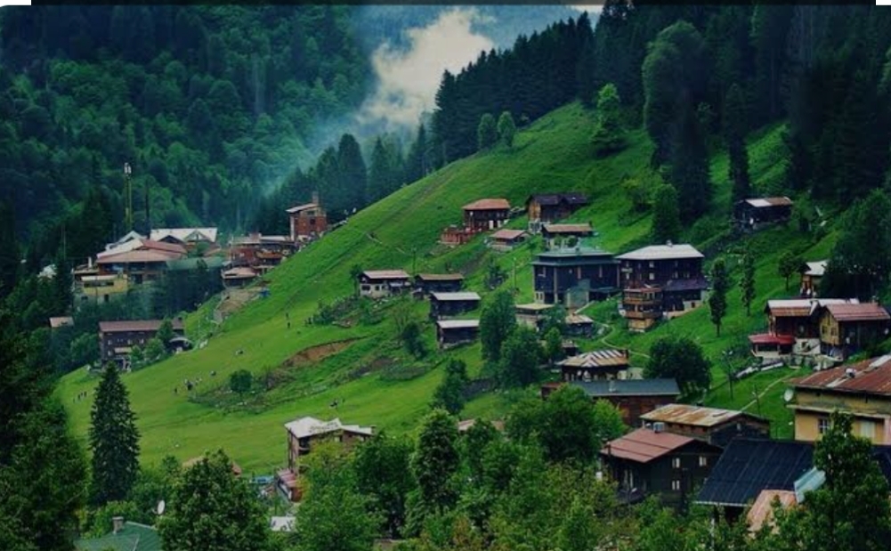 Zehra