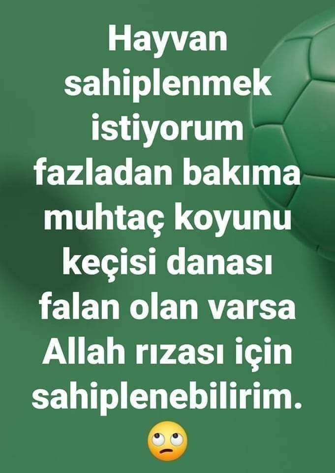 Ozlem