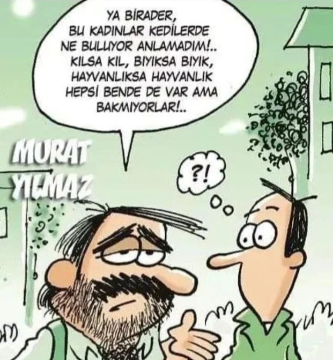 T C Yıldız