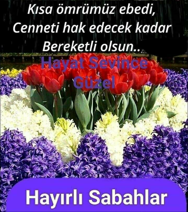 Melek