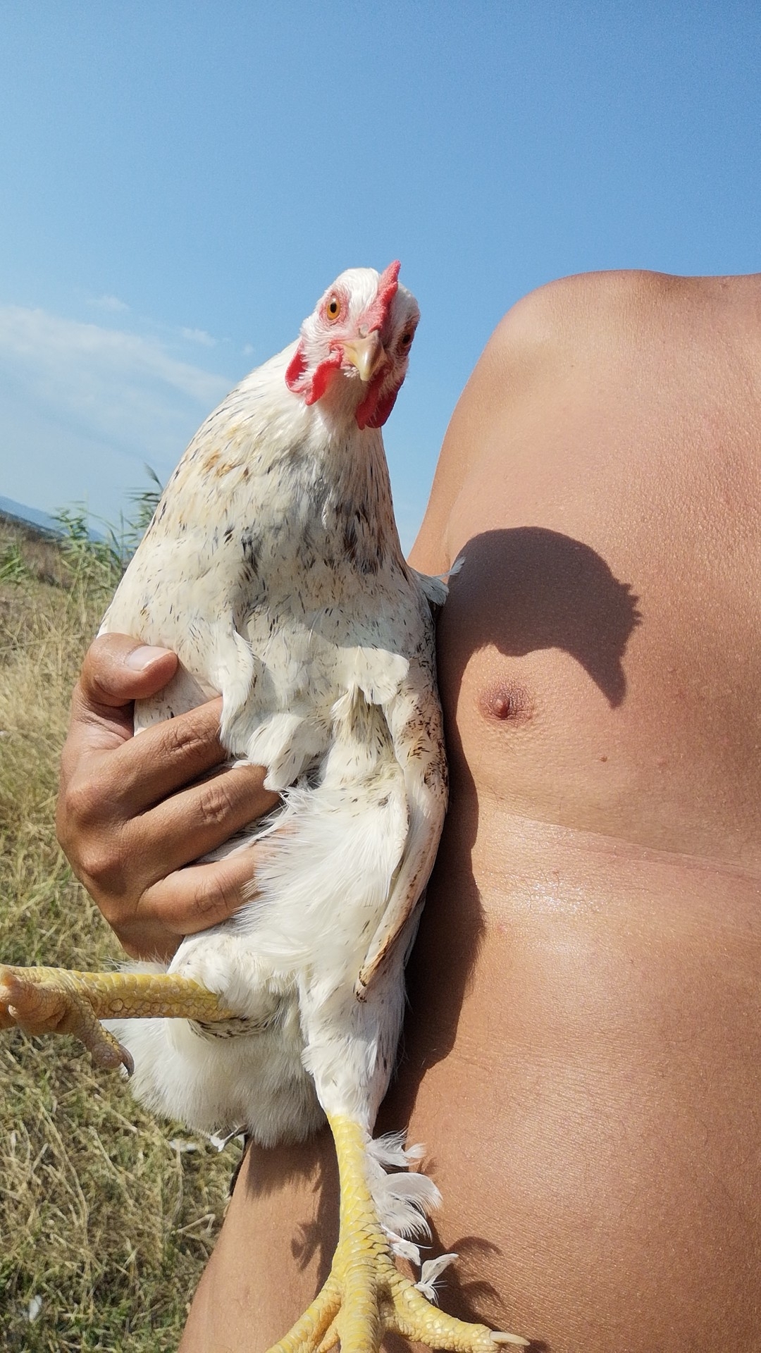 Erol