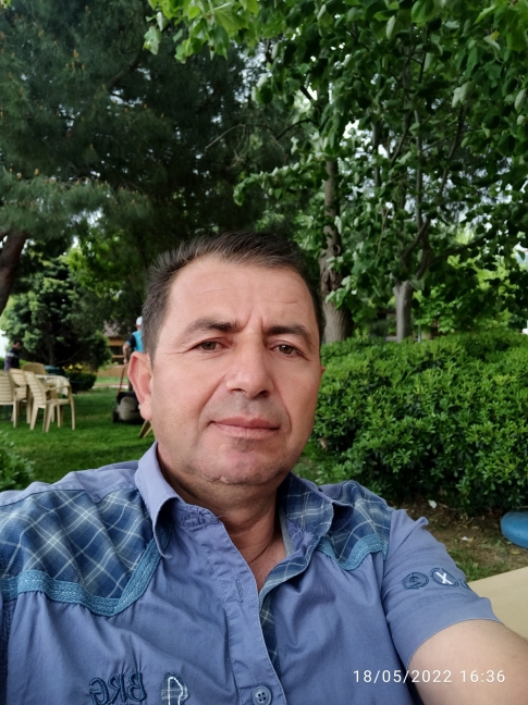Ali