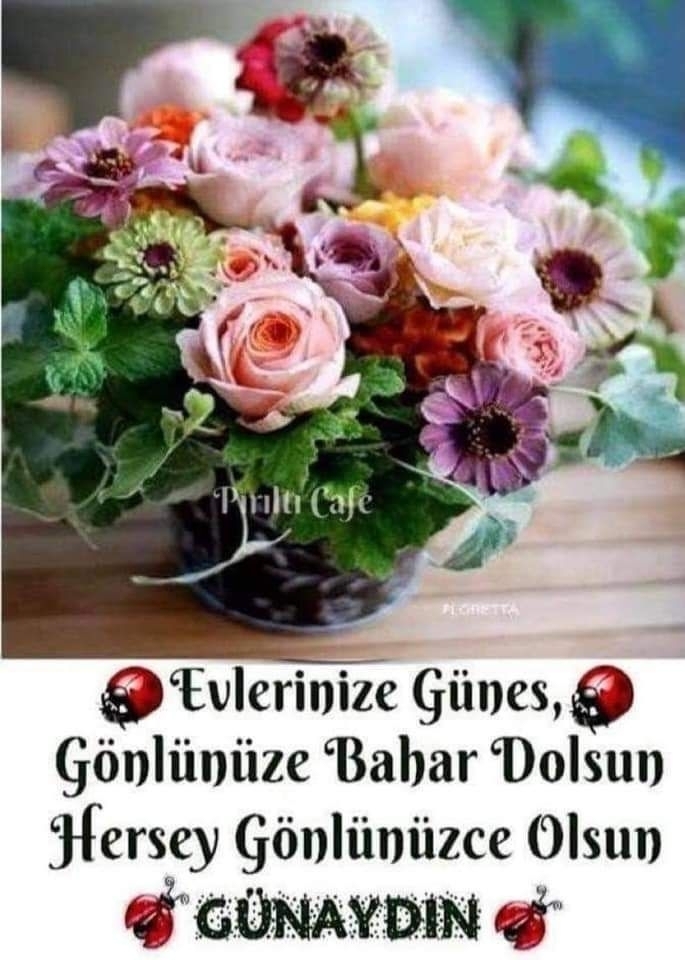 Aynur