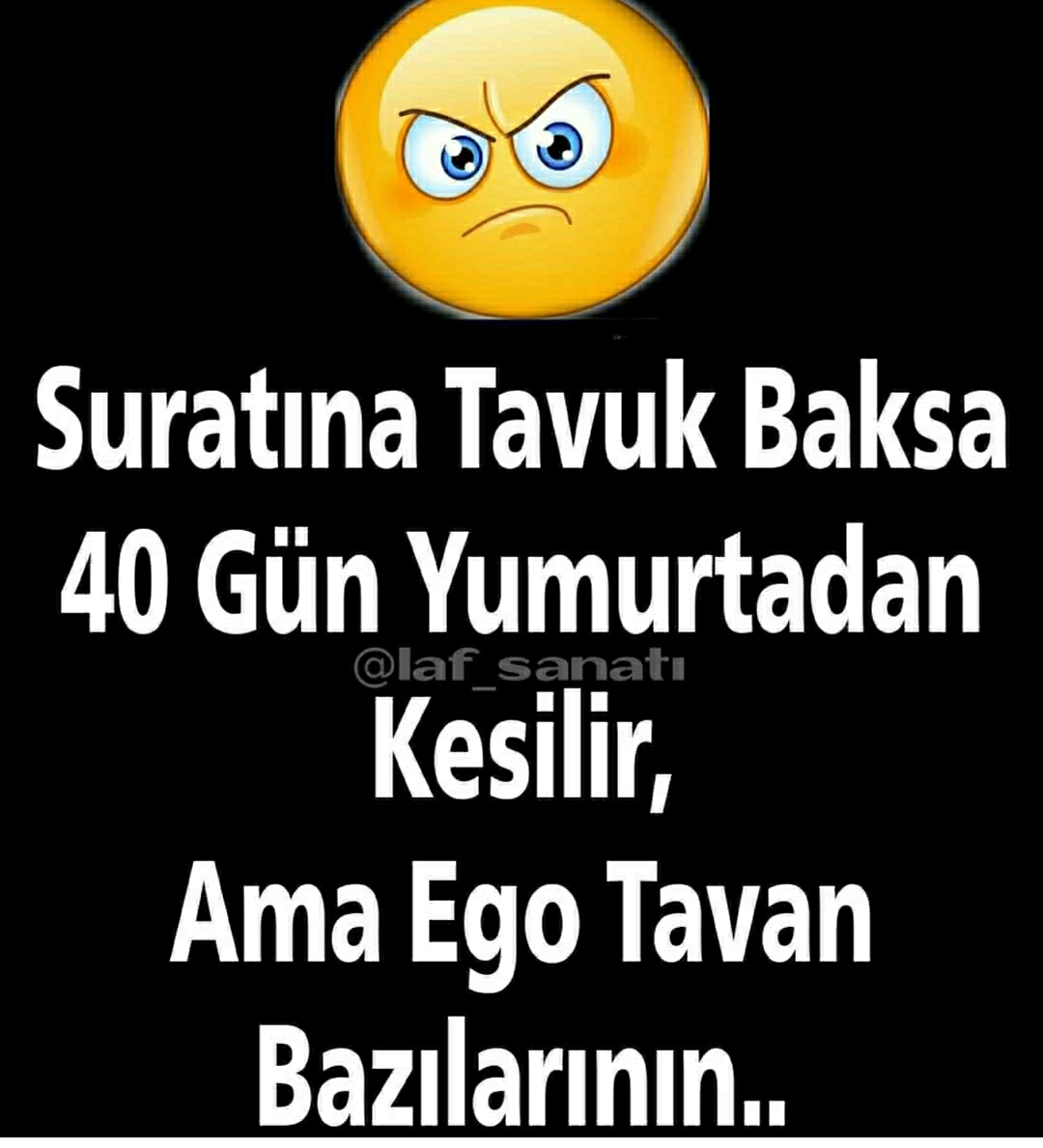 Aynur