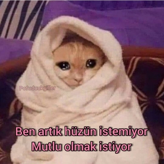 Elif