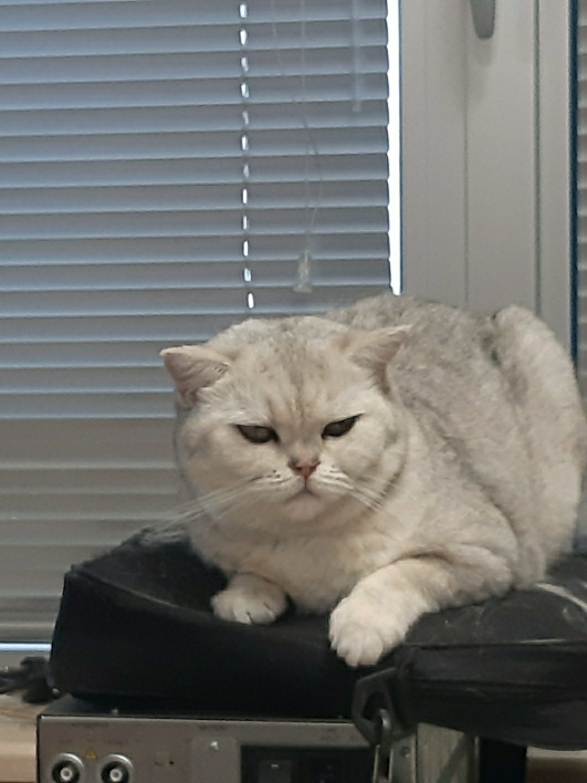 Cüneyt