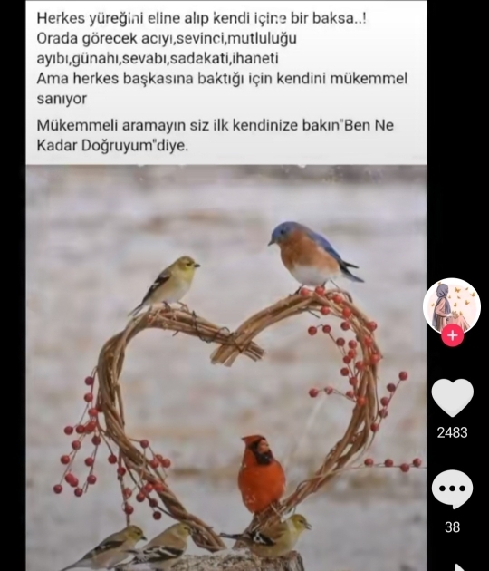 Canan