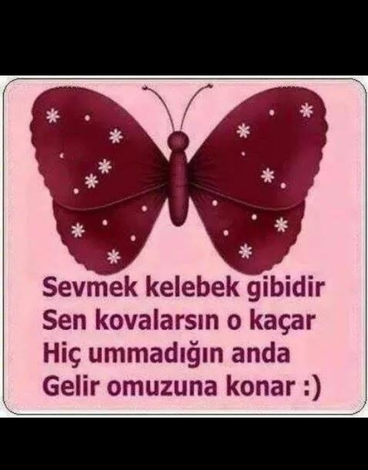 Hamit