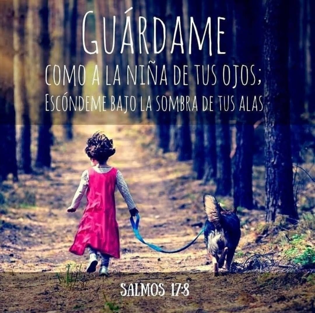 Luz